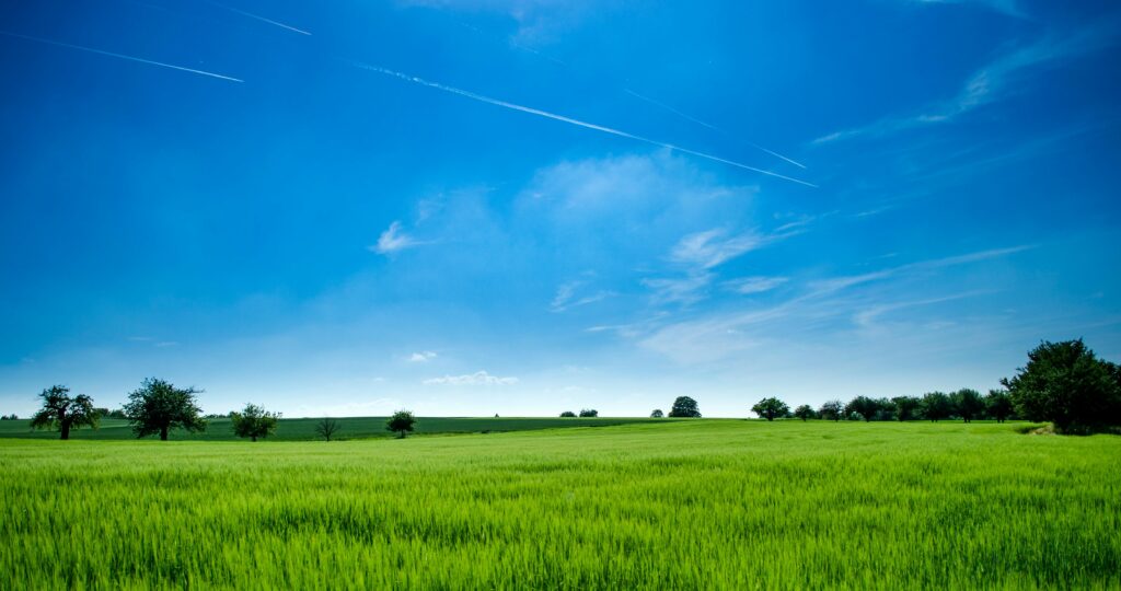 Tranquil rural landscape with lush green field and bright blue sky.